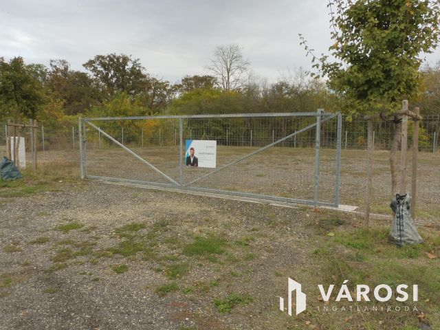 Rendezett szép telephely,tökéletes helyen kiadó.